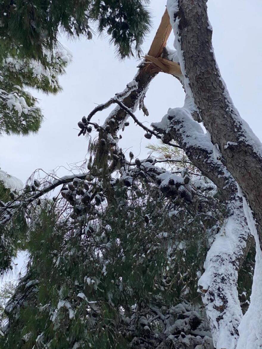Κακοκαιρία «Μήδεια»: Για τρίτη μέρα χωρίς ρεύμα νοικοκυριά στην Αττική - Δείτε τις περιοχές που αντιμετωπίζουν προβλήματα