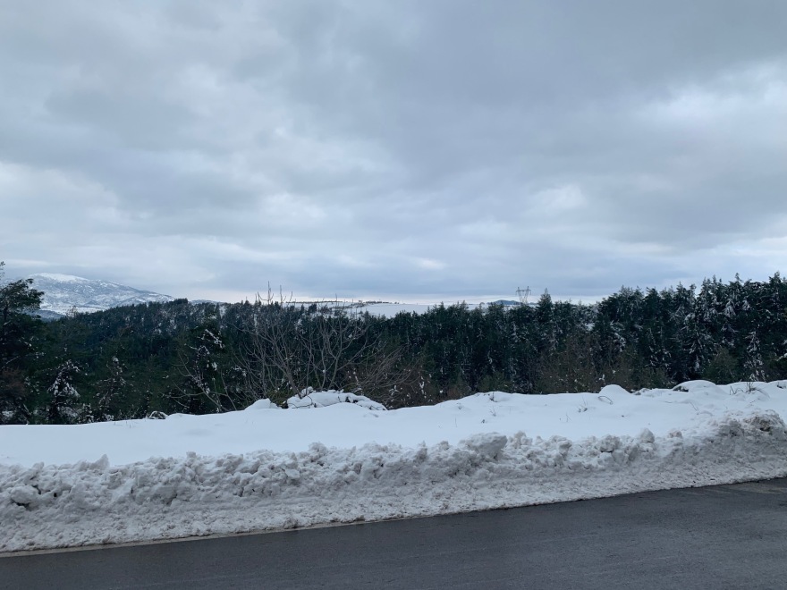 Κακοκαιρία «Μήδεια»: Σάρωσε την Εύβοια - Αποκλεισμένα χωριά και σπίτια χωρίς ρεύμα