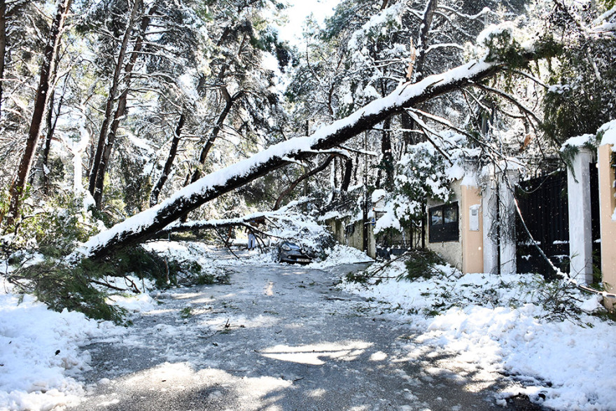 Κακοκαιρία «Μήδεια»: Ο στρατός συνδράμει τις προσπάθειες του ΔΕΔΔΗΕ στον Διόνυσο