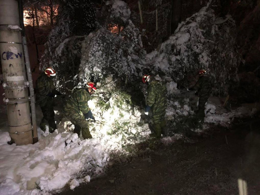 Κακοκαιρία «Μήδεια»: Ολονύχτια μάχη για την αποκατάσταση των προβλημάτων στον Διόνυσο