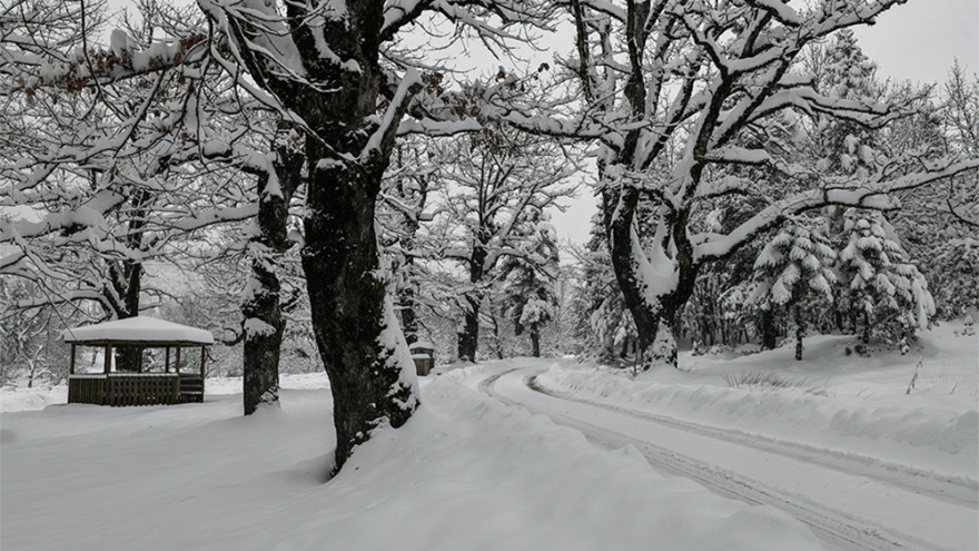 Η λίμνη Πλαστήρα χιονισμένη! - Δείτε εντυπωσιακές εικόνες
