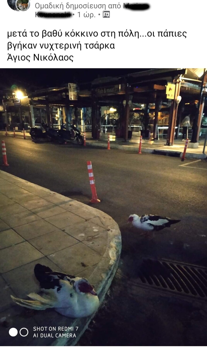 Άγιος Νικόλαος Κρήτης: Βγήκε από το «κόκκινο» και οι πάπιες κόβουν… βόλτες