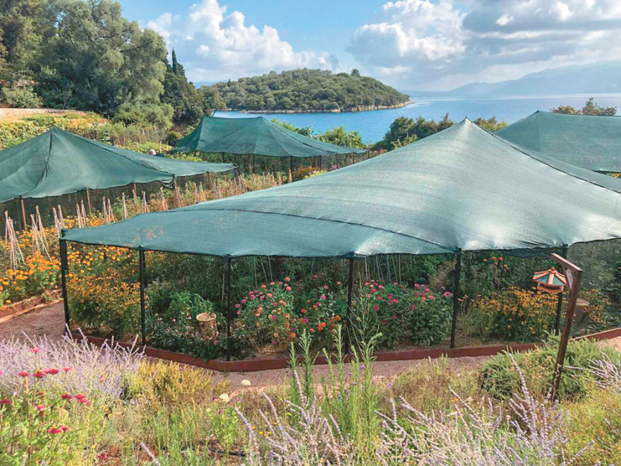 Σκορπιός: Το νησί του Ωνάση γίνεται συνεδριακό κέντρο με ενοίκιο €1 εκατ. την εβδομάδα!