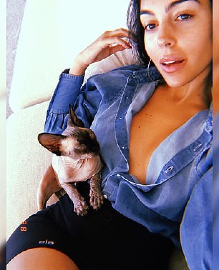 Ο Ρονάλντο έστειλε με το τζετ στην Ισπανία τη γάτα του για... αποθεραπεία