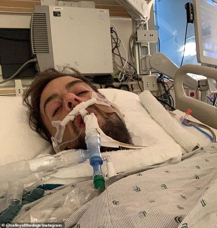 Lady Gaga: Ο συνοδός των σκυλιών της μιλάει μέσα από το νοσοκομείο - «Προσπάθησα να τα προστατεύσω»