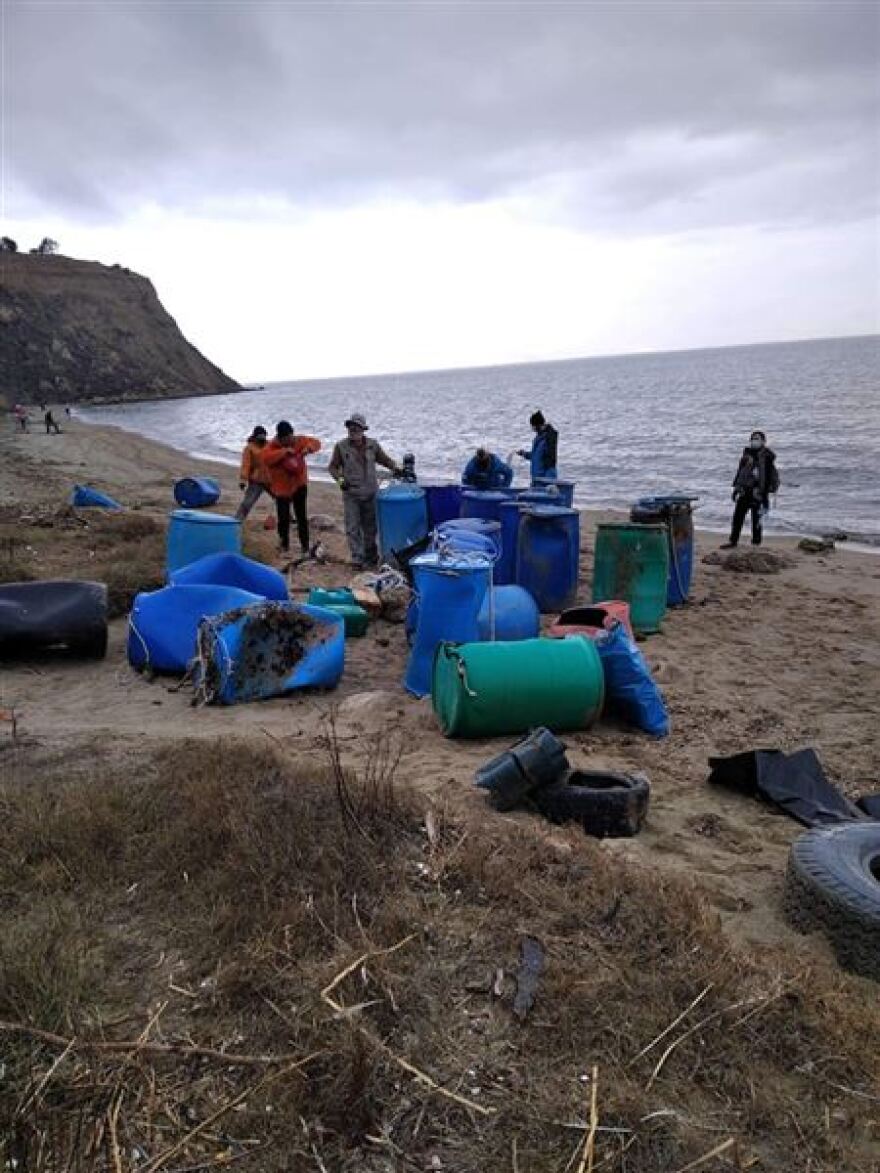 Θεσσαλονίκη: Απολίθωμα τιτανοχελώνας σε παραλία του Δήμου Θερμαϊκού