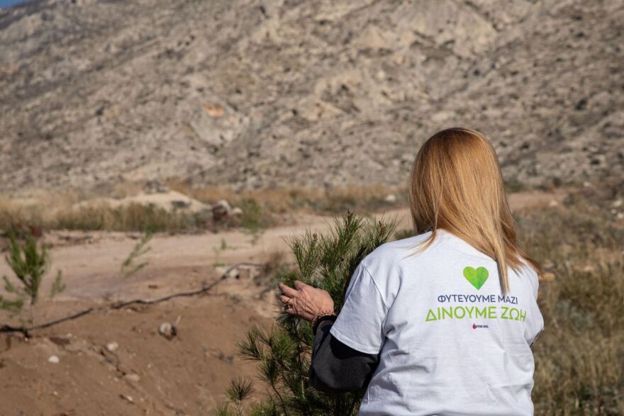 Αναδάσωση στην περιοχή της Κινέτας από τον όμιλο της Motor Oil