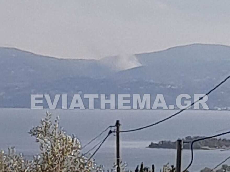 Υπό έλεγχο τέθηκε η δασική πυρκαγιά στον Κάλαμο 