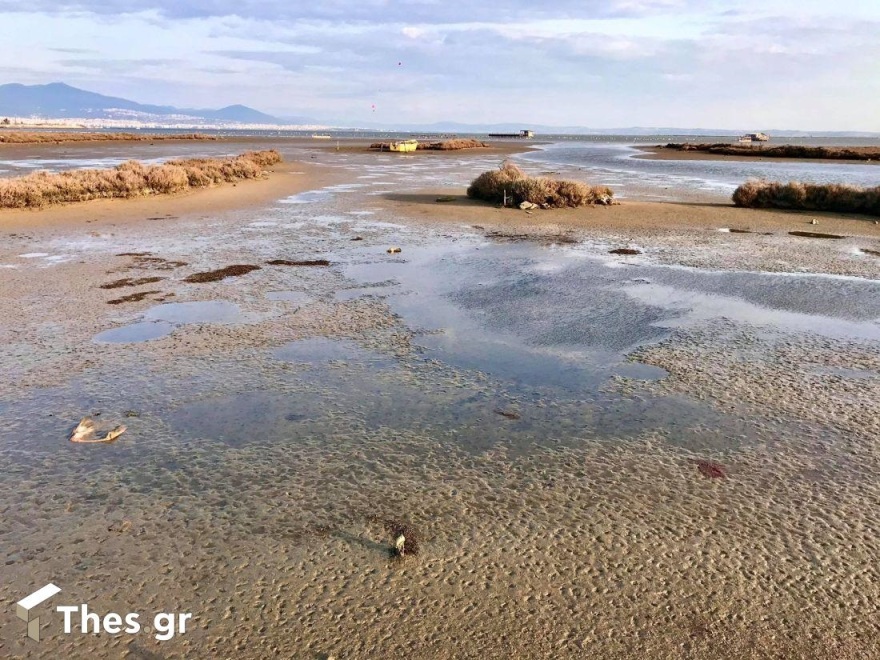 Σπάνιο φαινόμενο: Υποχώρησαν τα νερά από τον Θερμαϊκό Κόλπο μέχρι το Καβούρι και τη Ραφήνα (βίντεο και φωτογραφίες)