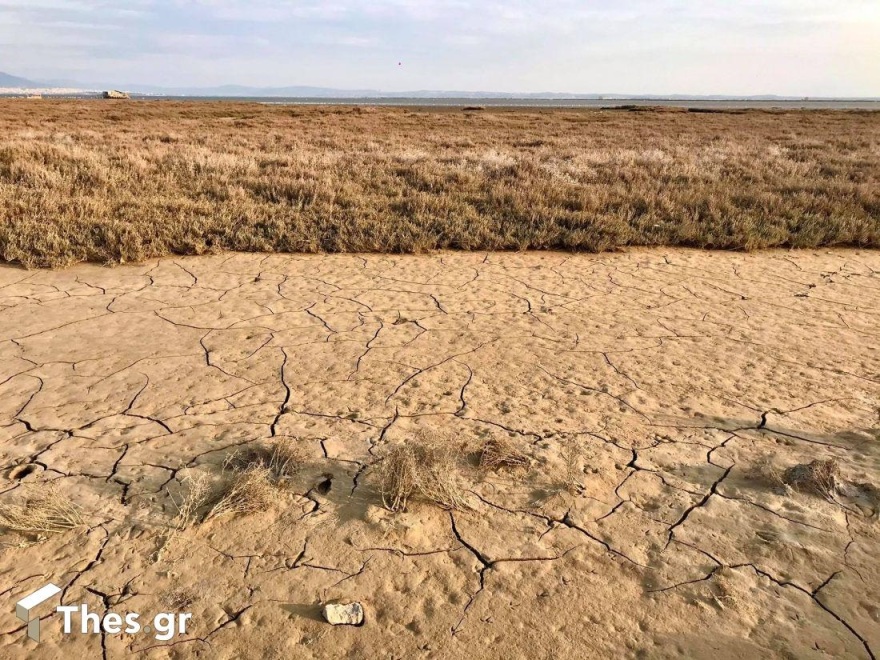 Σπάνιο φαινόμενο: Υποχώρησαν τα νερά από τον Θερμαϊκό Κόλπο μέχρι το Καβούρι και τη Ραφήνα (βίντεο και φωτογραφίες)