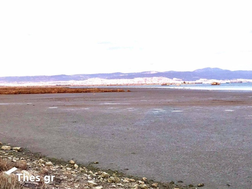 Σπάνιο φαινόμενο: Υποχώρησαν τα νερά από τον Θερμαϊκό Κόλπο μέχρι το Καβούρι και τη Ραφήνα (βίντεο και φωτογραφίες)