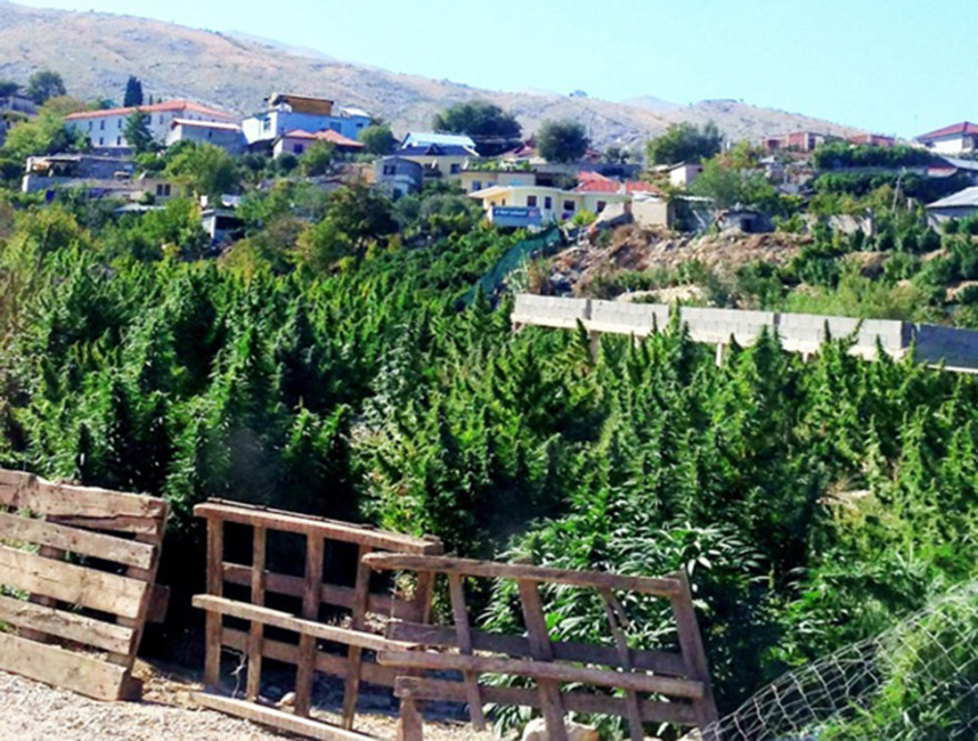 Ρεπορτάζ του BBC στα ακριτικά χωριά του νομού Ιωαννίνων: «Ορθάνοιχτος ο δρόμος του χασίς μέσω Αλβανίας»