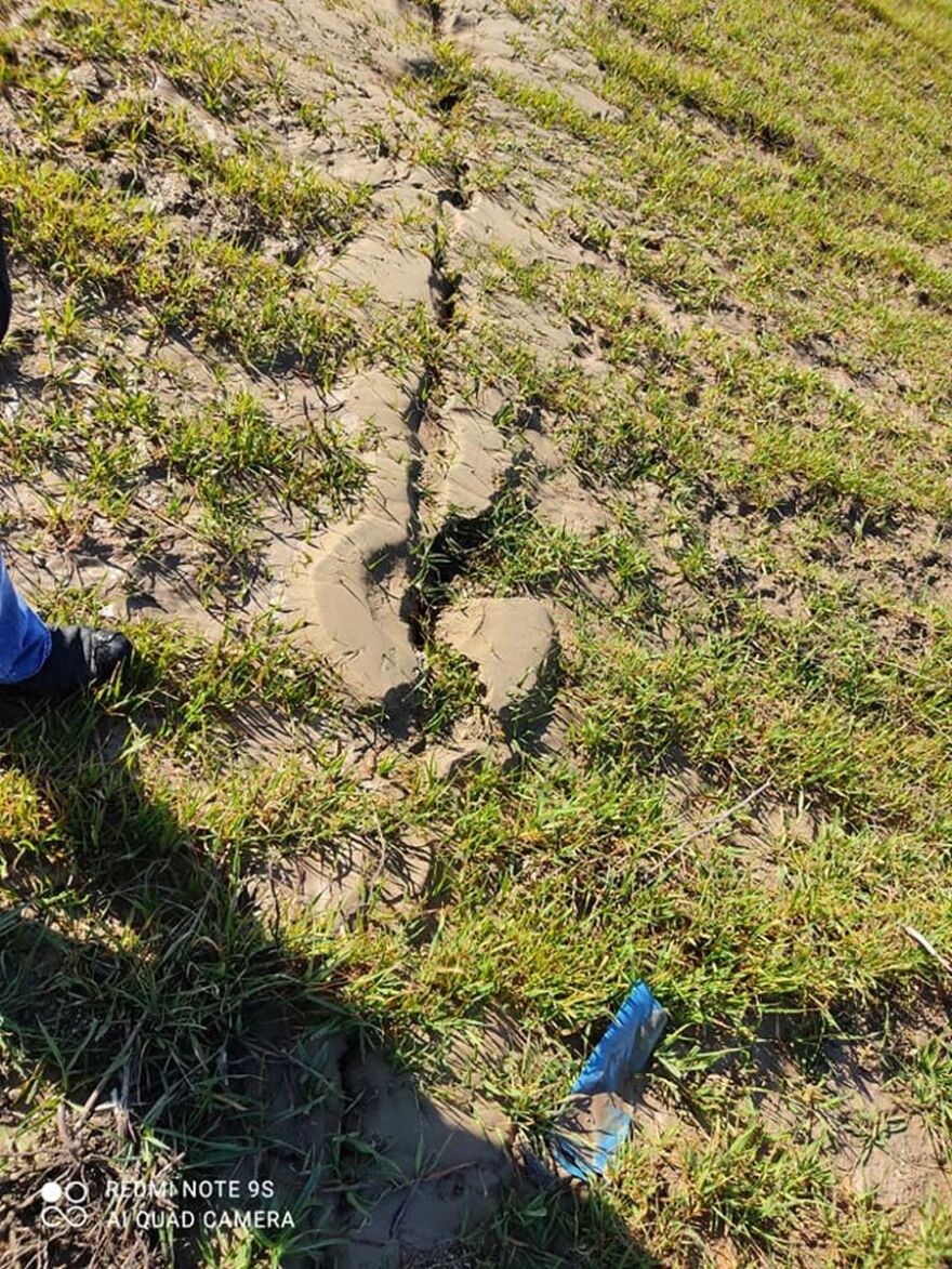 Σεισμός στην Ελασσόνα: Ο δρόμος άνοιξε στα δύο στο Βλαχογιάννι – «Κρατήρας» σε χωράφι (Φωτογραφίες)