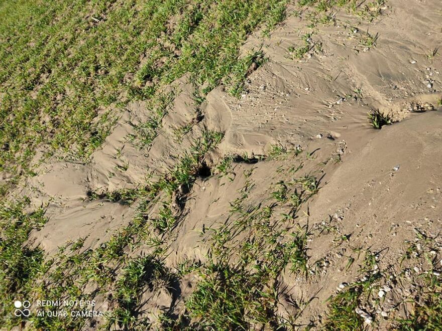 Σεισμός στην Ελασσόνα: Ο δρόμος άνοιξε στα δύο στο Βλαχογιάννι – «Κρατήρας» σε χωράφι (Φωτογραφίες)