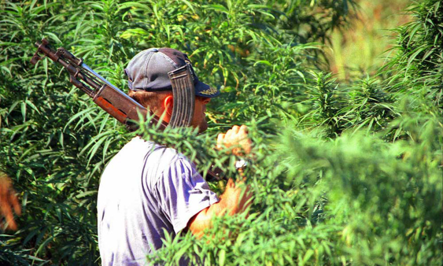 Ρεπορτάζ του BBC στα ακριτικά χωριά του νομού Ιωαννίνων: «Ορθάνοιχτος ο δρόμος του χασίς μέσω Αλβανίας»