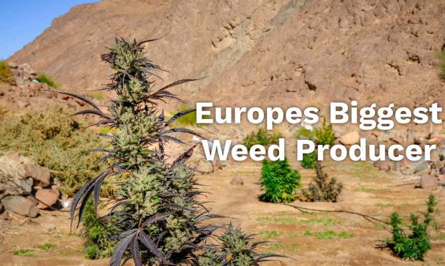 Ρεπορτάζ του BBC στα ακριτικά χωριά του νομού Ιωαννίνων: «Ορθάνοιχτος ο δρόμος του χασίς μέσω Αλβανίας»