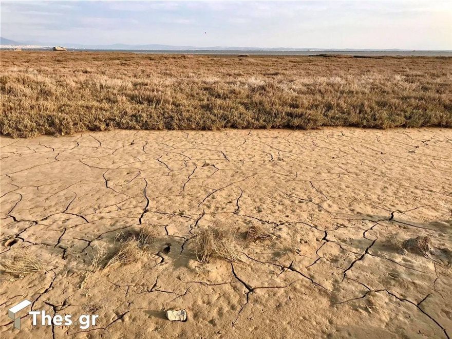 Χαμηλή στάθμη της θάλασσας: Πού οφείλεται το φαινόμενο των τελευταίων ημερών