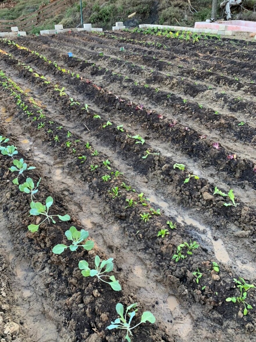 Φάρμα: Δύσκολη η ζωή για τους 14 «αγρότες» - Δείτε φωτογραφίες από τους χώρους