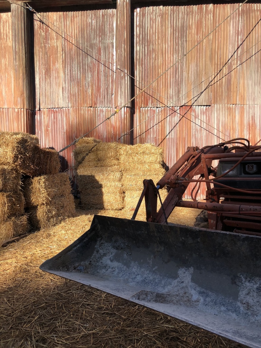 Φάρμα: Δύσκολη η ζωή για τους 14 «αγρότες» - Δείτε φωτογραφίες από τους χώρους