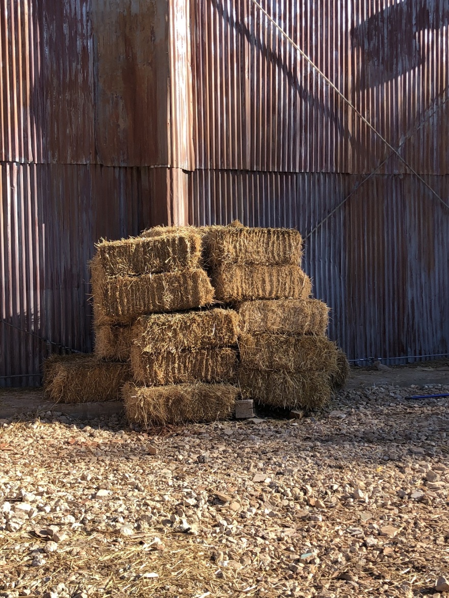 Φάρμα: Δύσκολη η ζωή για τους 14 «αγρότες» - Δείτε φωτογραφίες από τους χώρους