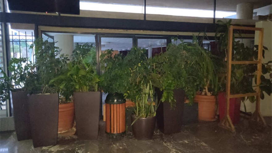 Θεσσαλονίκη: Δείτε βίντεο από την εκκένωση του εσωτερικού του ΑΠΘ - Πώς έδρασε η ΕΛ.ΑΣ.