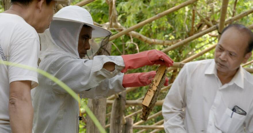 Η Angelina Jolie ως ανάδοχος του project «Women for Bees» 