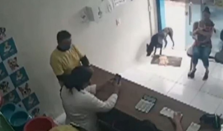 Βραζιλία: Αδέσποτος σκύλος μπαίνει μόνος του σε κτηνιατρική κλινική για να τον εξετάσουν (βίντεο)