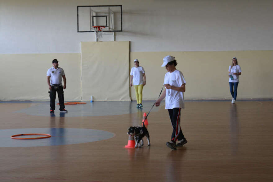 Animal Assisted Therapy: Ένα πρωτότυπο πρόγραμμα θεραπείας με σκύλους στην Κοζάνη