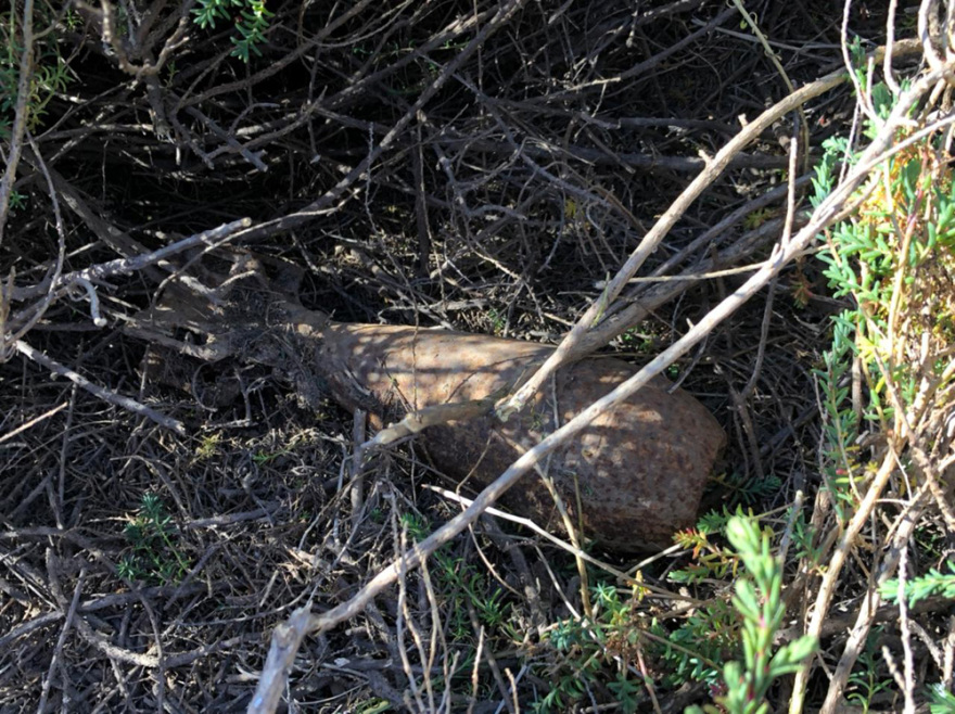 Λεγραινά: Όλμος και πυρομαχικά του Β' ΠΠ βρέθηκαν σε επιχείρηση καθαρισμού από το Typhoon Project