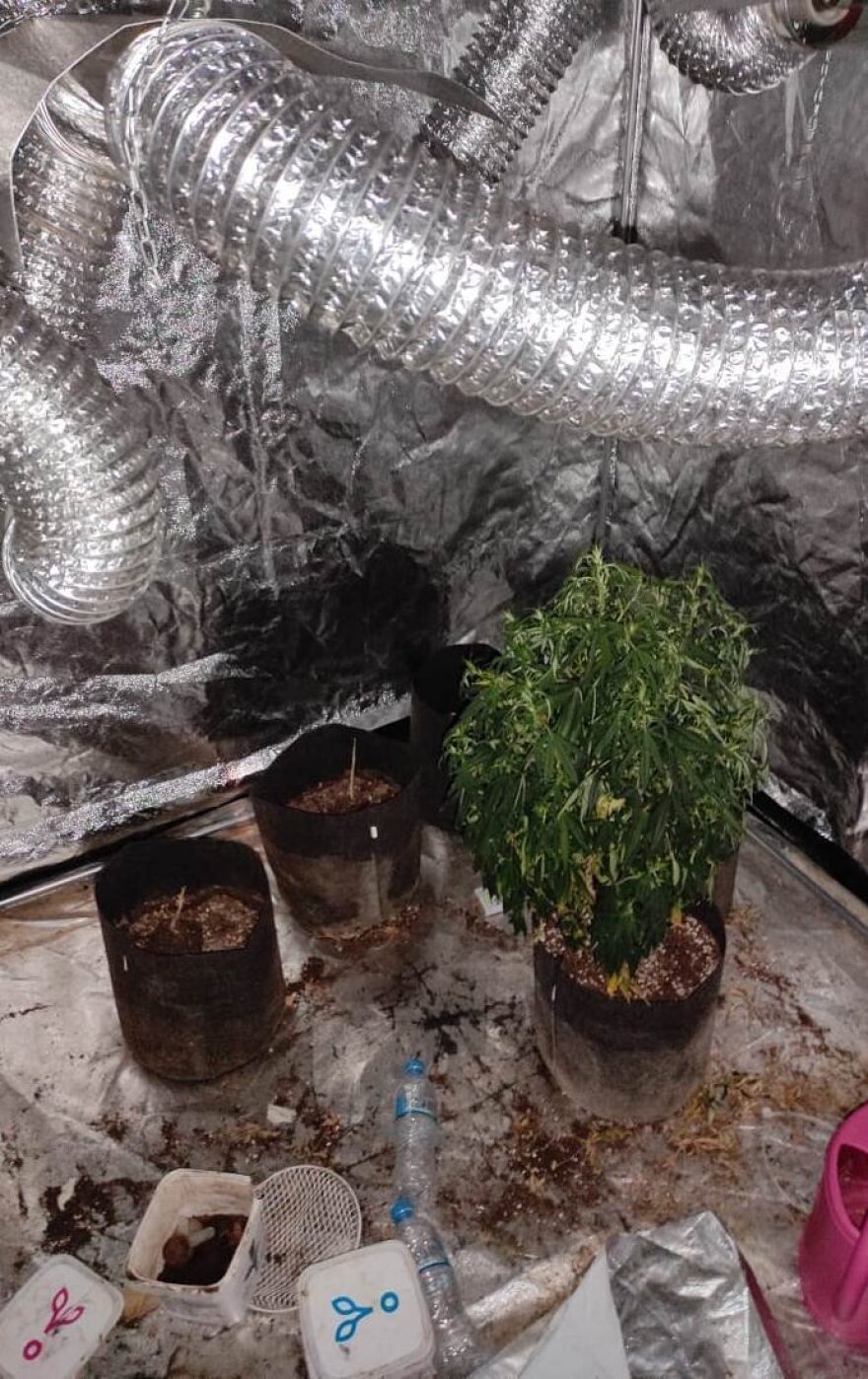 Εξαρθρώθηκε συμμορία που διακινούσε ναρκωτικά και διέπραττε κλοπές στην Αττική