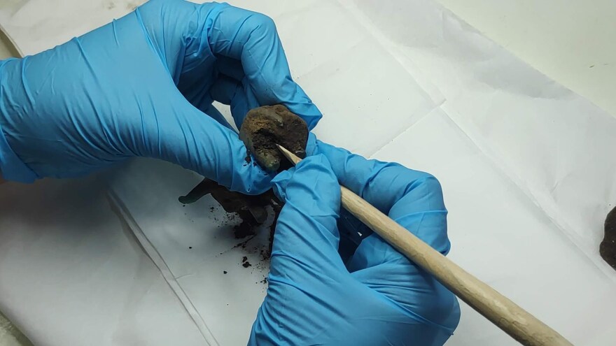 Αρχαία Ολυμπία: Ανακάλυψαν τυχαία χάλκινο ειδώλιο ταύρου