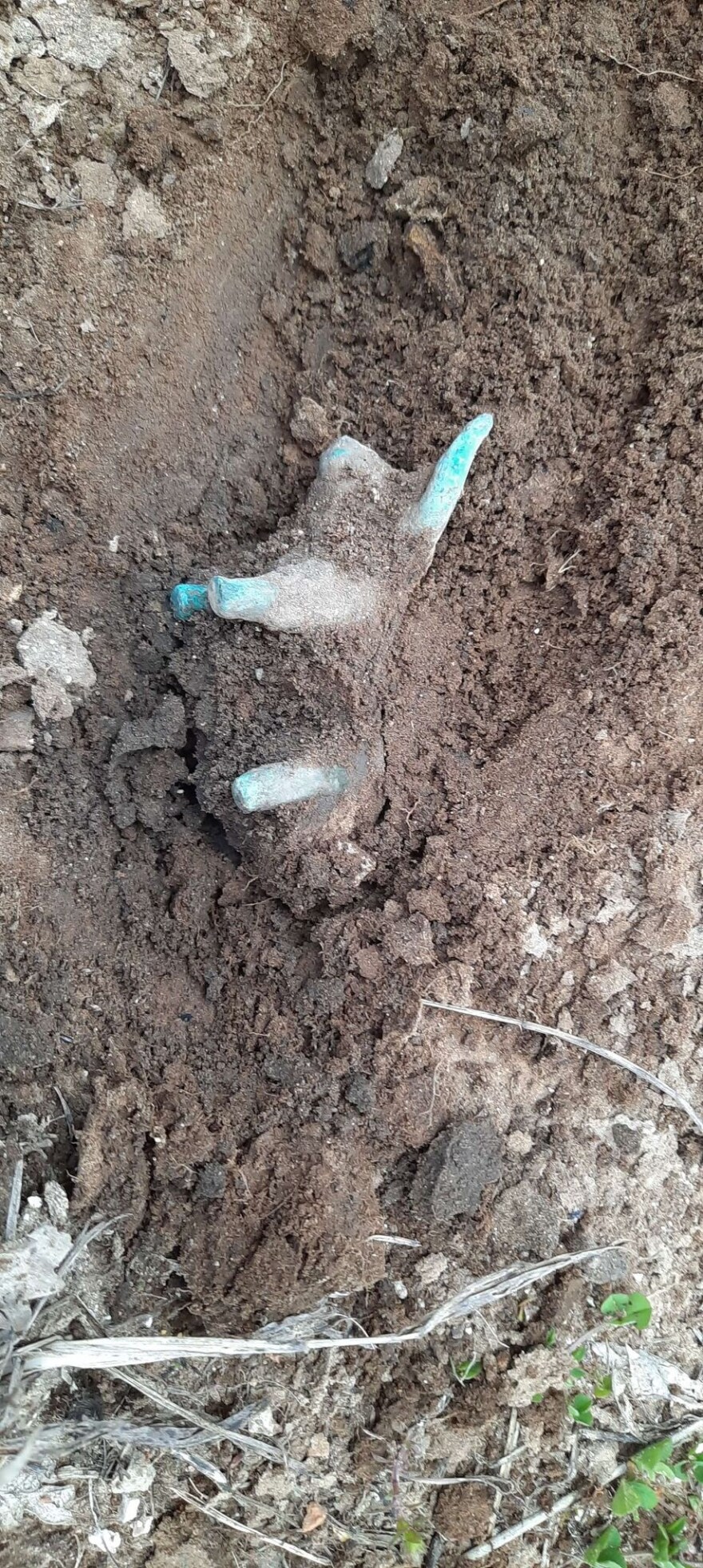 Αρχαία Ολυμπία: Ανακάλυψαν τυχαία χάλκινο ειδώλιο ταύρου