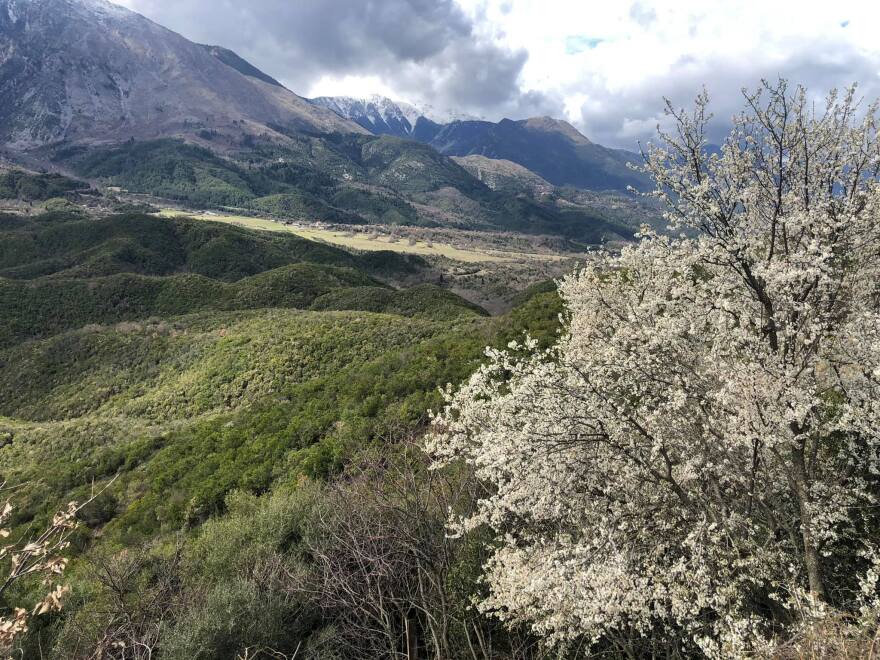Το καθεστώς Χότζα και οι δολοφονίες Βορειοηπειρωτών που προσπάθησαν να έρθουν στην Ελλάδα
