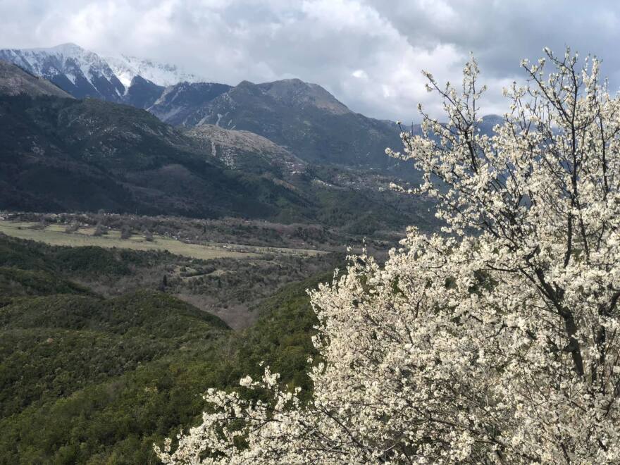Το καθεστώς Χότζα και οι δολοφονίες Βορειοηπειρωτών που προσπάθησαν να έρθουν στην Ελλάδα