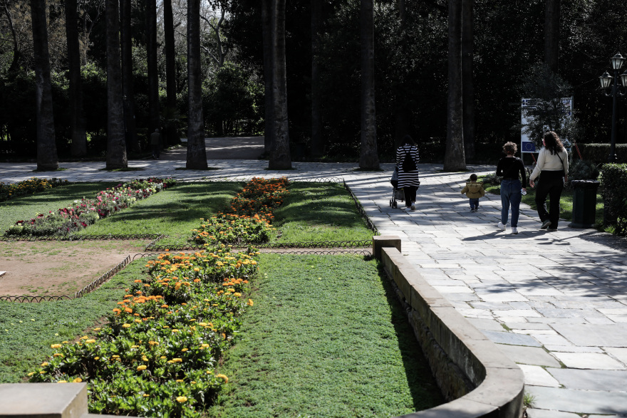 Lockdown: Σήκωσαν ρολά τα κομμωτήρια - Δείτε φωτογραφίες από την επισκέψιμη Ακρόπολη