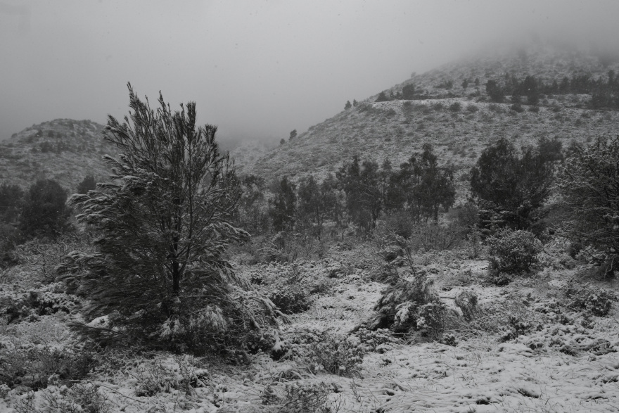 Καιρός: Χιόνι στα βόρεια προάστια της Αθήνας μετά την παρέλαση