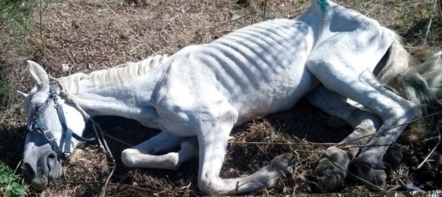 Η... δεύτερη ζωή της «Ιόλης»: Δείτε το πριν και το μετά (φωτογραφίες)