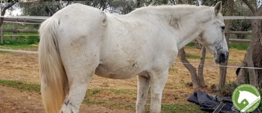 Η... δεύτερη ζωή της «Ιόλης»: Δείτε το πριν και το μετά (φωτογραφίες)