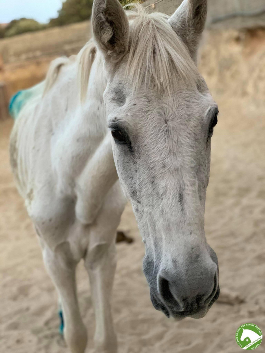 Η... δεύτερη ζωή της «Ιόλης»: Δείτε το πριν και το μετά (φωτογραφίες)