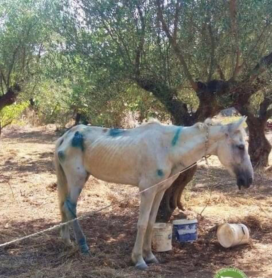 Η... δεύτερη ζωή της «Ιόλης»: Δείτε το πριν και το μετά (φωτογραφίες)