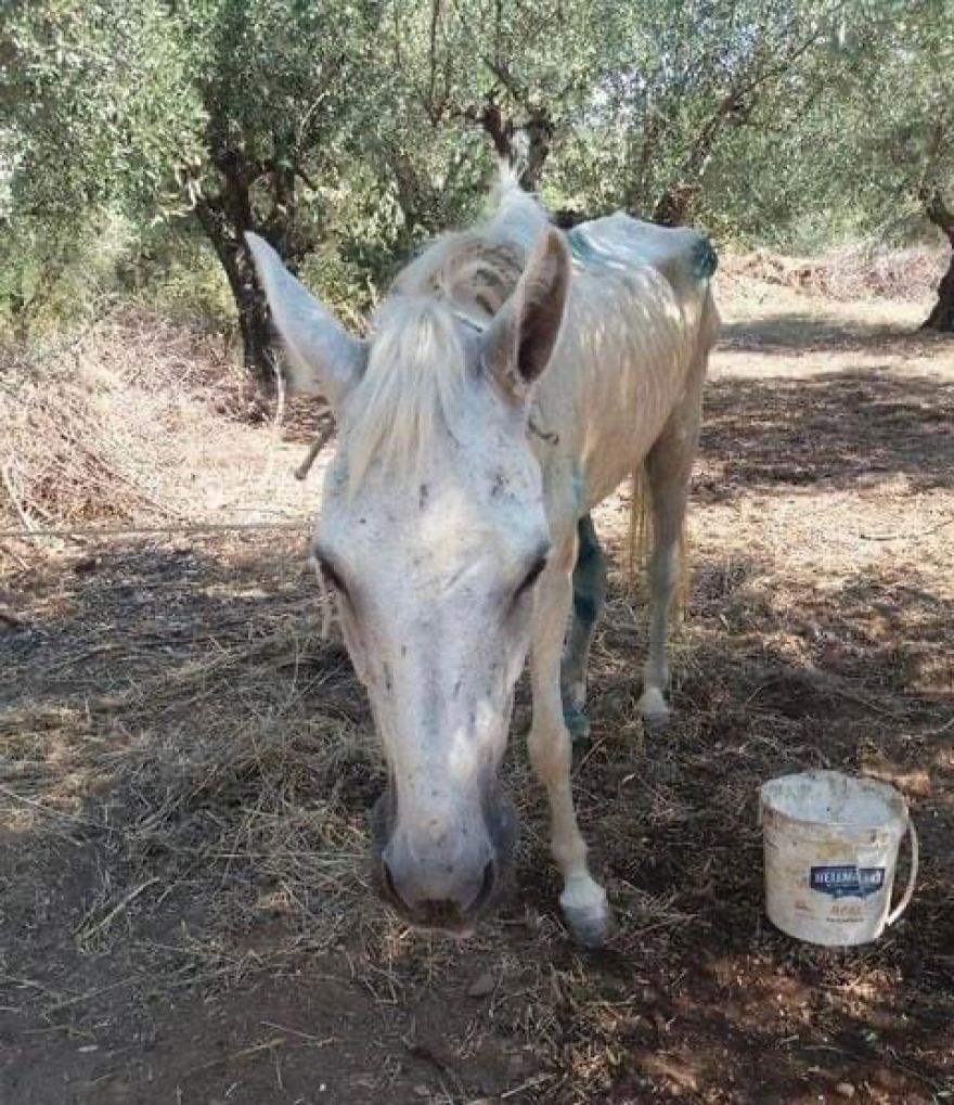 Η... δεύτερη ζωή της «Ιόλης»: Δείτε το πριν και το μετά (φωτογραφίες)