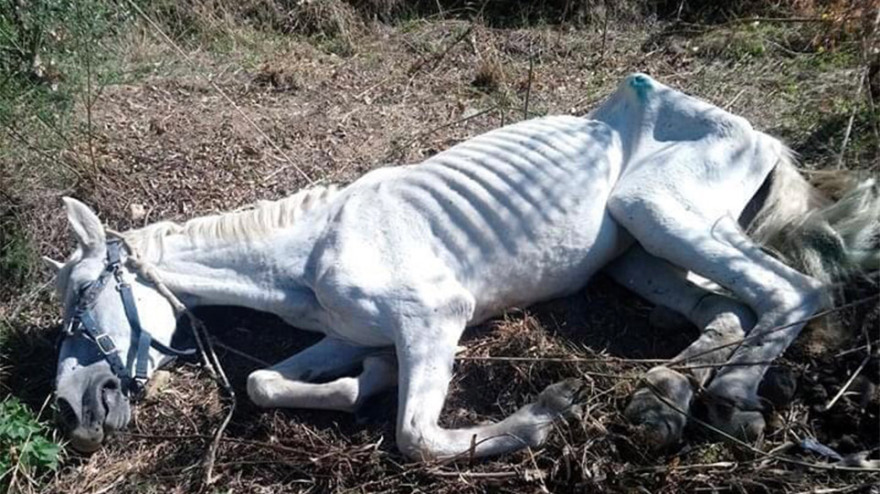 Η... δεύτερη ζωή της «Ιόλης»: Δείτε το πριν και το μετά (φωτογραφίες)