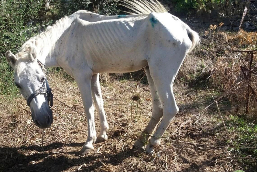 Η... δεύτερη ζωή της «Ιόλης»: Δείτε το πριν και το μετά (φωτογραφίες)