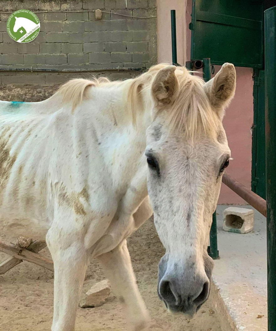 Η... δεύτερη ζωή της «Ιόλης»: Δείτε το πριν και το μετά (φωτογραφίες)