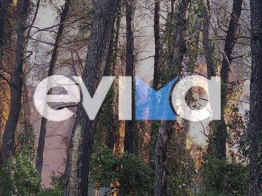 Σε έξελιξη μεγάλη φωτιά στην Εύβοια - Ισχυρές πυροσβεστικές δυνάμεις στο σημείο 