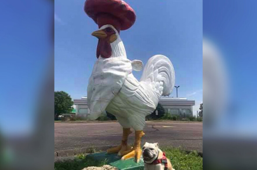 ΗΠΑ: Αμοιβή $1000 προσφέρει εστιάτορας για να πάρει πίσω ένα... τεράστιο άγαλμα κόκορα