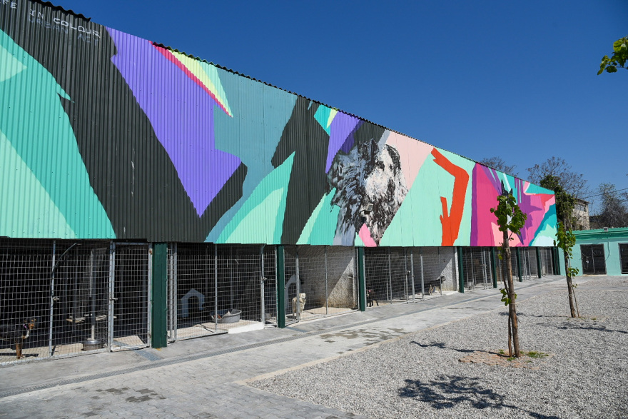 Δήμος Αθηναίων: Έτοιμο το πρώτο σύγχρονο καταφύγιο αδέσποτων ζώων - Δείτε φωτογραφίες