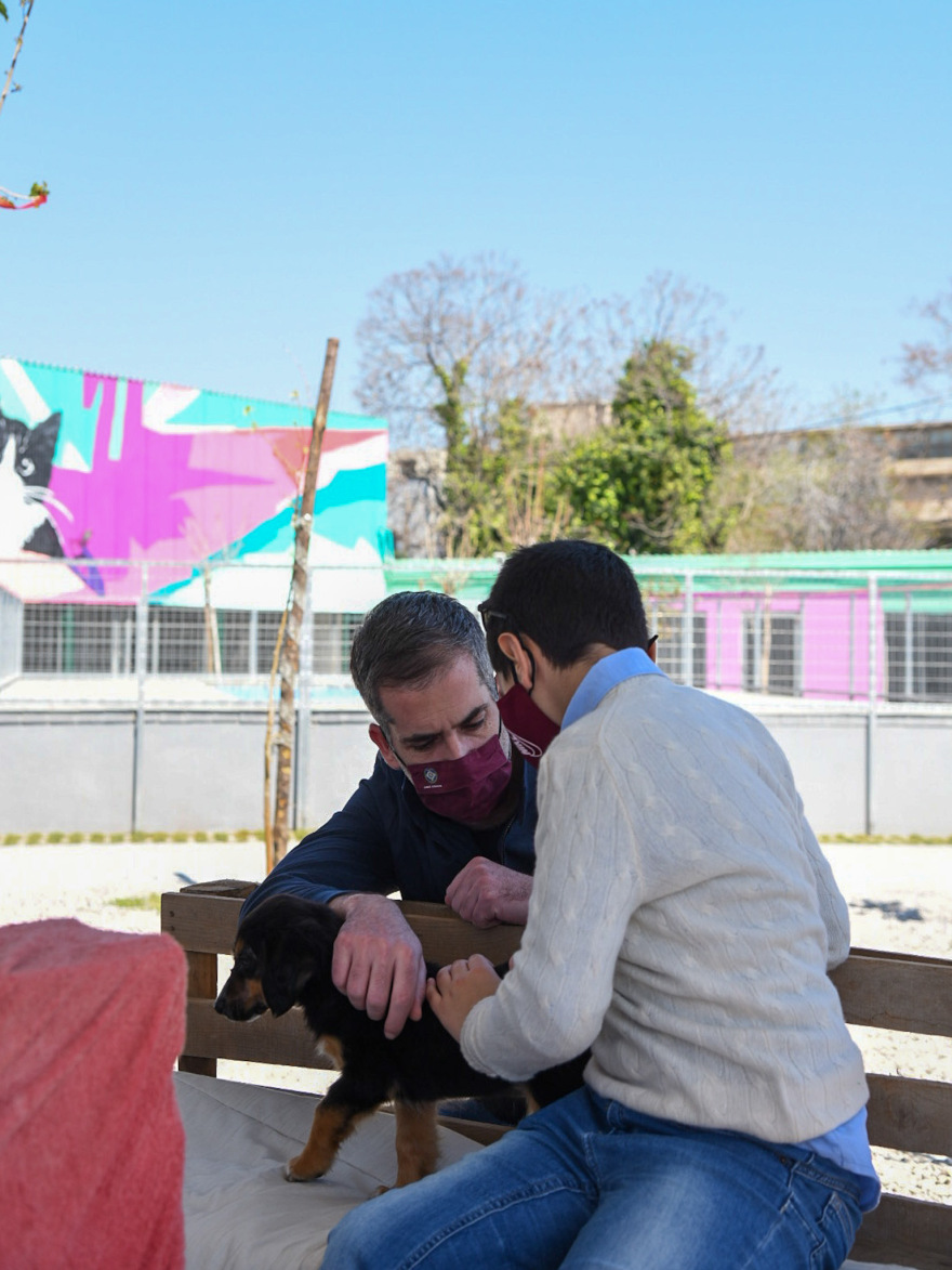 Δήμος Αθηναίων: Έτοιμο το πρώτο σύγχρονο καταφύγιο αδέσποτων ζώων - Δείτε φωτογραφίες