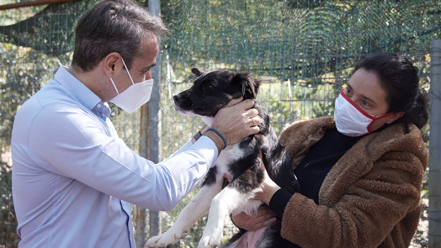 Παγκόσμια Ημέρα Αδέσποτων: Στο καταφύγιο ζώων της Ηλιούπολης ο Μητσοτάκης