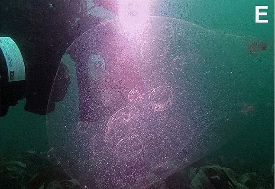 Νορβηγία: Μυστήριο με γιγαντιαίες μάζες στη θάλασσα που περιέχουν αβγά καλαμαριών– Δείτε φωτογραφίες